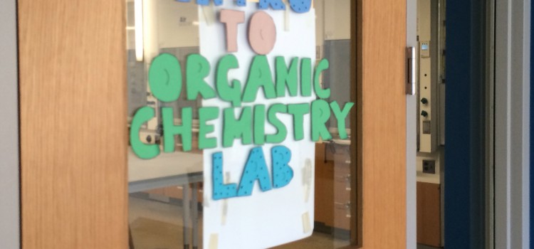 College Students Share Insights on Summer Research